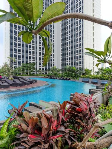 Cikarang Apartment | 1BR Chadstone With Pool and Gym