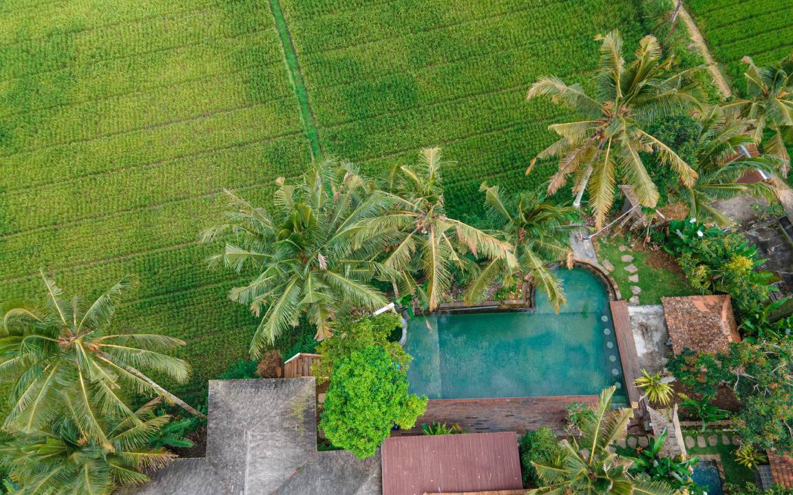 Sebatu Resort | 450 m² Resort ∙ 3 bedrooms ∙ 8 guests
