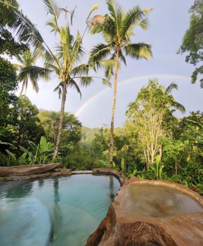 Sebatu Cabin | Artsy Cabin Jungle Pool & Unique Car Bath