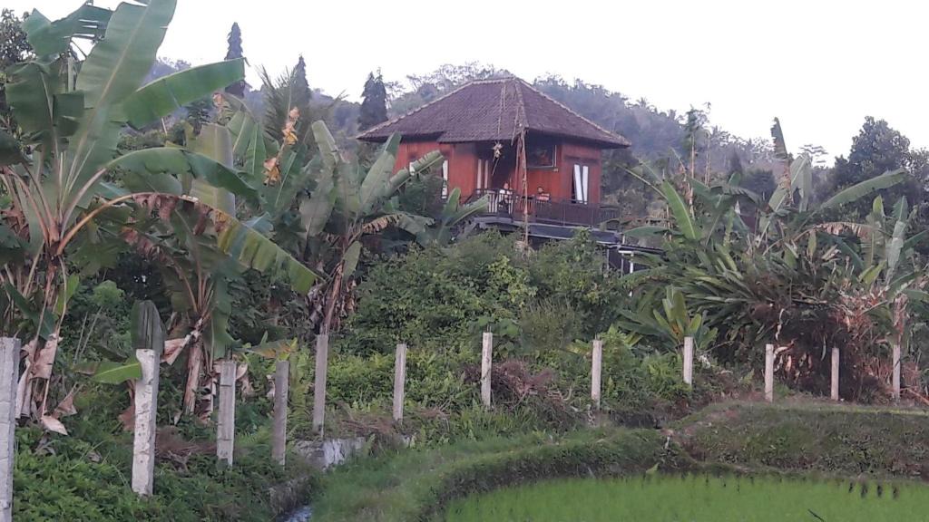 Sidemen House | Astana Swaha Estate