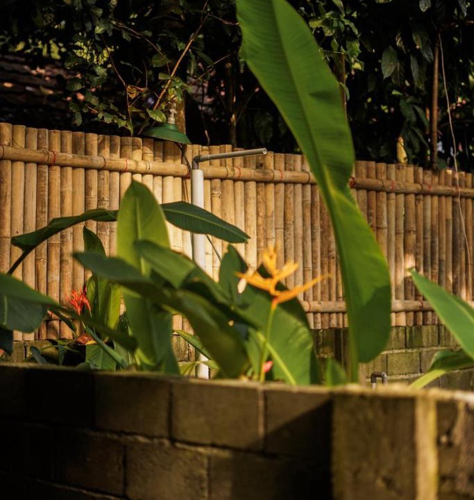Batu Karas Hotel | Banana surf and stay