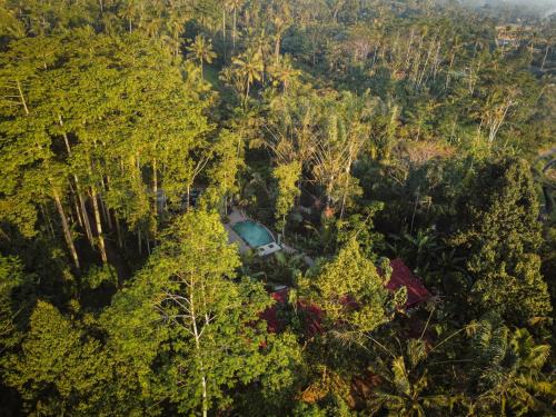 Sebatu Resort | Daydream Lodge Tegallalang