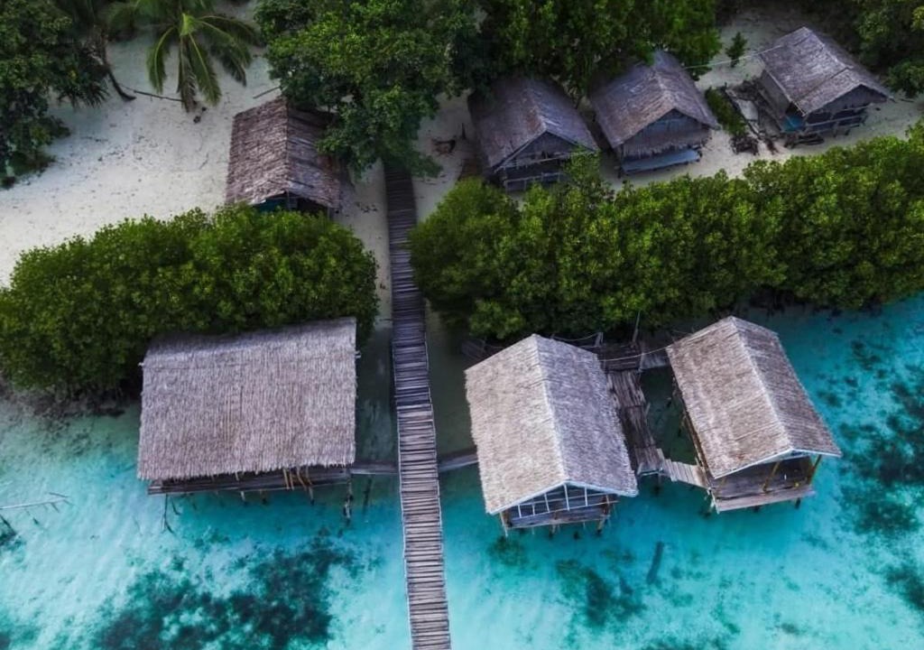 Arborek House | Freedom Homestay - Raja Ampat