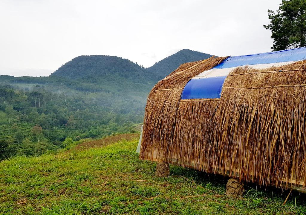 Pasirjambu Other | Glamping di Jungle, Ciwidey