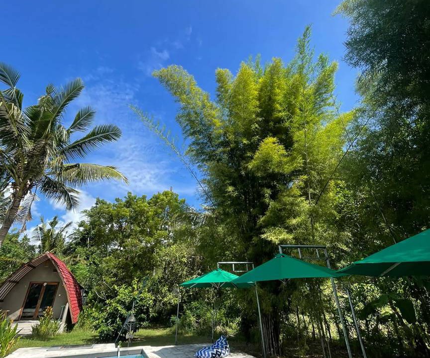 Penida Island Hostel | Hostel ∙ 8 guests