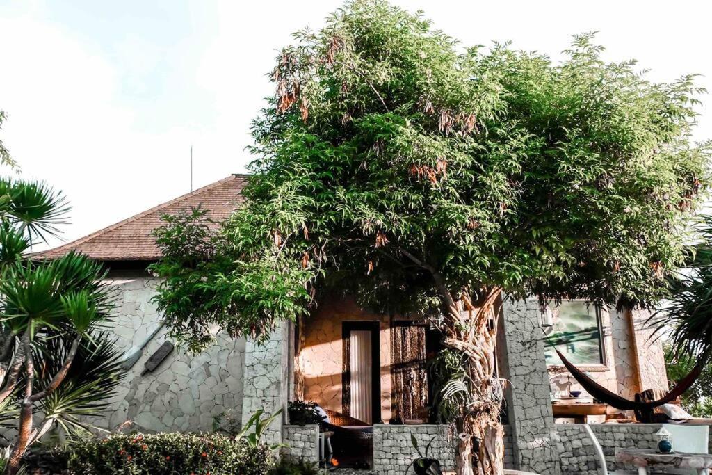 Penida Island House | House of Gubuk Paon