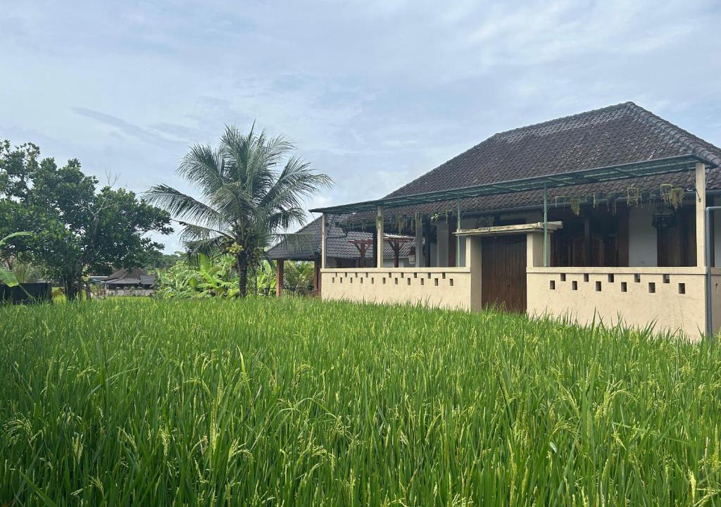 Sayan Apartment | Ketut's Place Penestanan Ubud