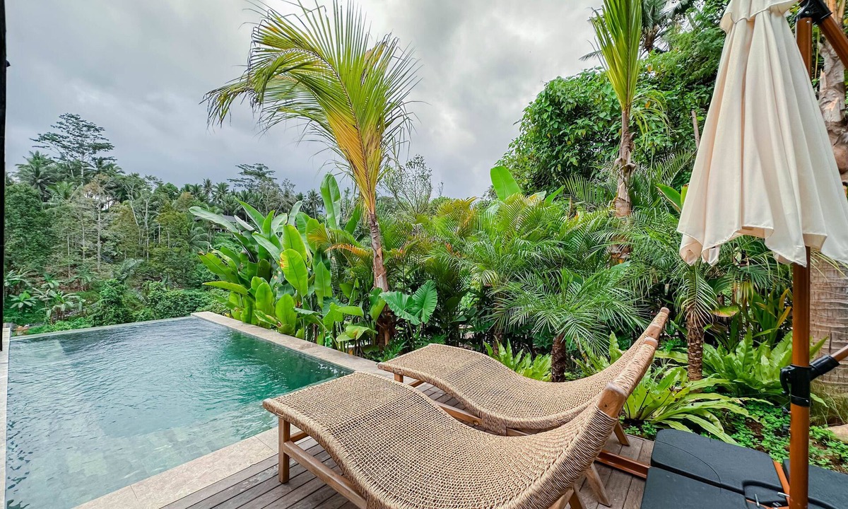 Melayang Hotel | Magical Jungle Resort and Spa