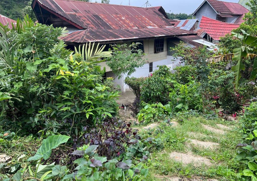 Mamasa House | Mamasa Local House
