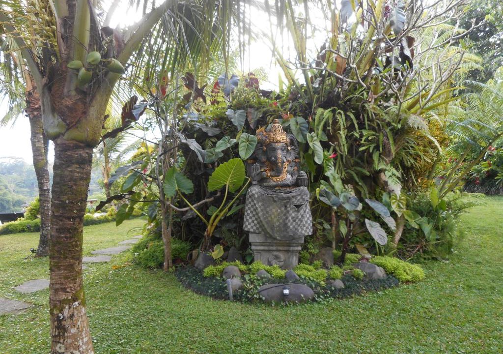 Taro Villa | Moringga Holiday Ubud