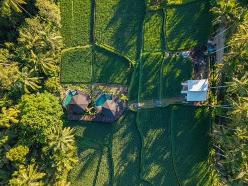 Sambahan Villa | Neira Villa Ubud