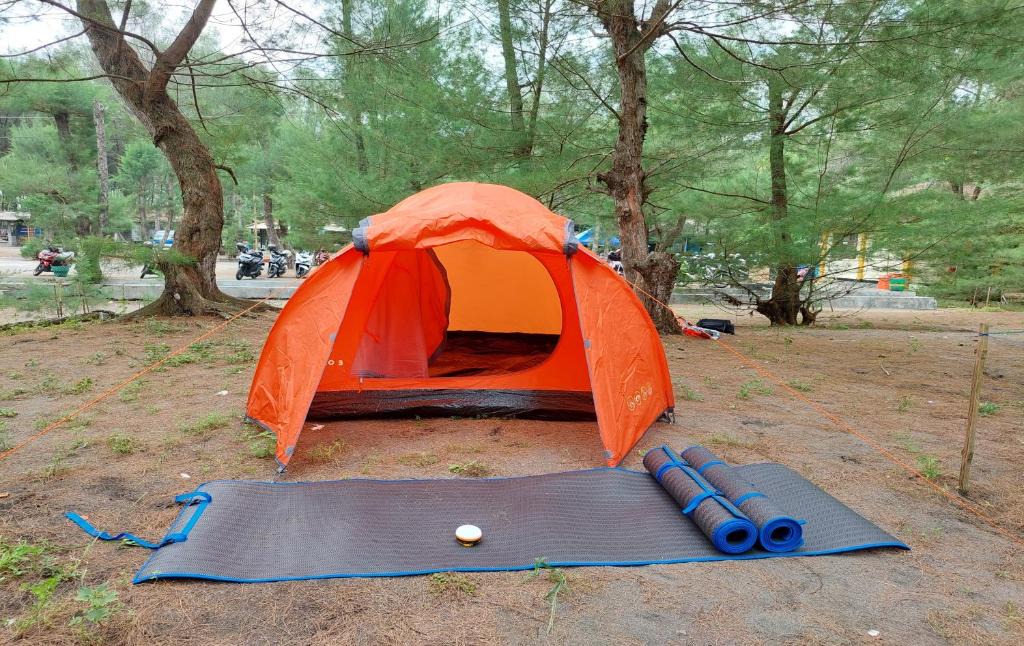 Parangtritis Other | PANTAI AYUNAN CAMP GOA CEMARA