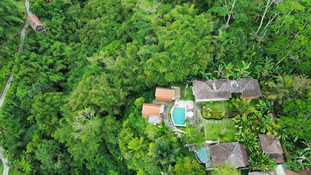 Sebatu Hotel | Sebatu Paradise Villa