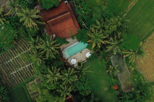 Mendut Other | Sikepan Villa Borobudur