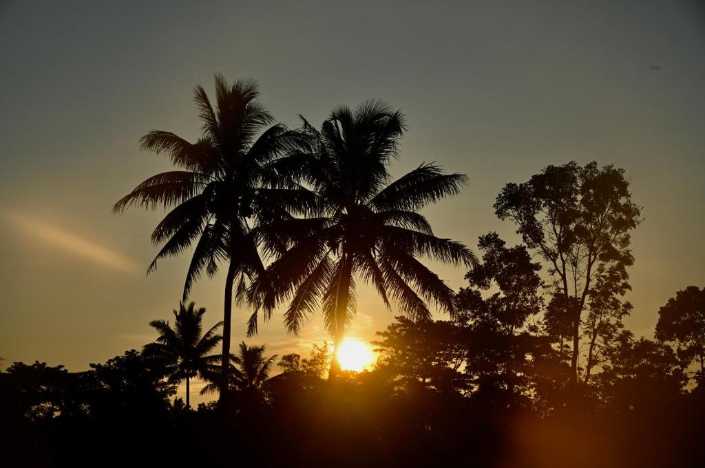 Tetebatu Hotel | Tetebatu Sunset House