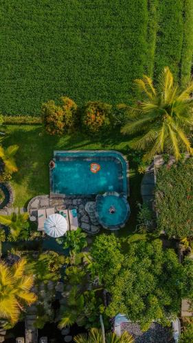 Taro Hotel | The Alugara Suite & Spa