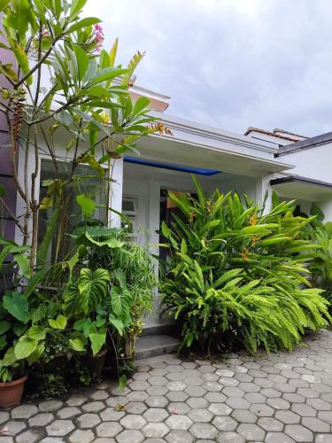 Banjarasri House | TUTUP Permanen