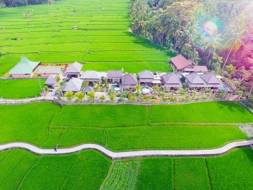 Melayang Villa | Villa JJ and Spa Ubud