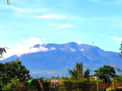 Cipanas Villa | Villa Miky Kota Bunga Puncak Cianjur Bogor