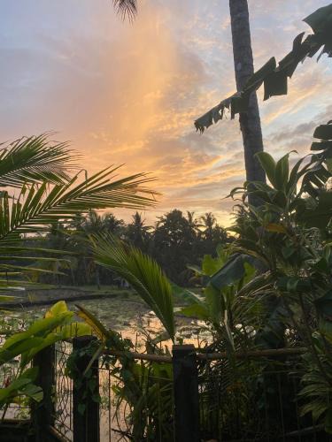 Pejeng Kawan Villa | Villa Yan Tara 2BR Private House Ubud Rice View Garden