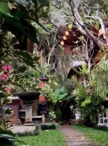 Rendang House | Wenten House