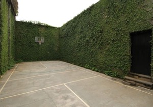 Acoustic Private Suite (CoHaus)