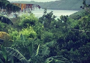 Dimol Garden Cottage Lembongan