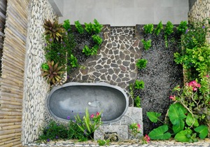 Relaxation and luxury in Jungle Paradise