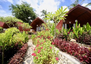 Relaxation and luxury in Jungle Paradise