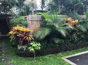 Bali Corail Villa Br Kerobokan | Gatot Subroto
