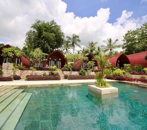 Jungle Paradise 