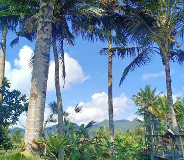Selat Resort | 1000 m² Resort ∙ 3 bedrooms ∙ 6 guests