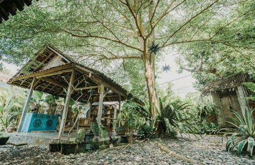 Celuk Bed & Breakfast | 16 m² Bed and breakfast ∙ 2 guests
