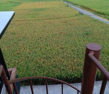 Peliatan Bed & Breakfast | 22 m² Bed and breakfast ∙ 2 guests