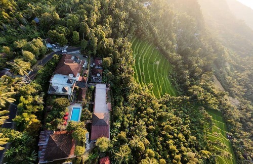 Munduk Hotel | 35 m² Hotel ∙ 3 guests
