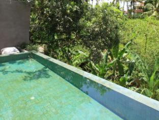 Kutuh Kaja Villa | Aria Villas Ubud