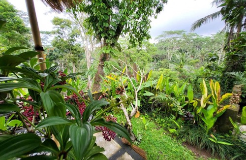Kenderan Bed & Breakfast | BB House Ubud
