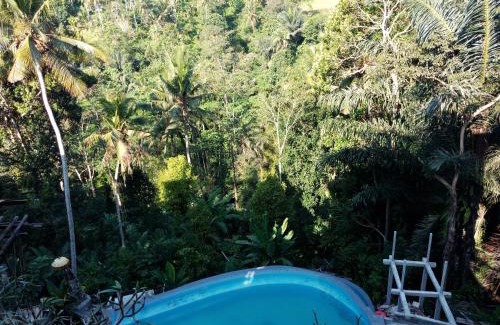Sambahan House | Made Punia's Jungle