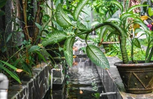 Taman Griya Hotel | Villa girihill