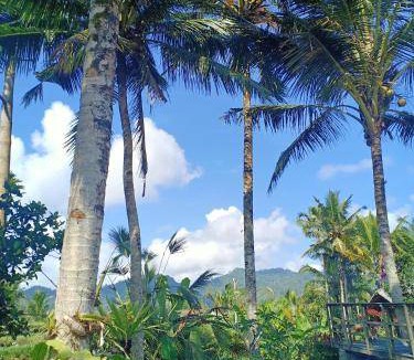 Selat Resort | 1000 m² Resort ∙ 3 bedrooms ∙ 6 guests