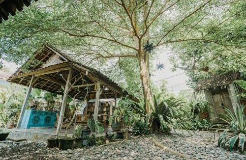 Celuk Bed & Breakfast | 16 m² Bed and breakfast ∙ 2 guests