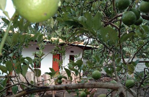 Penida Island Bed & Breakfast | 20 m² Bed and breakfast ∙ 2 guests
