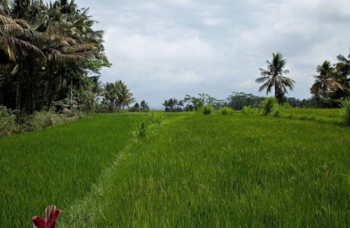 Melayang Villa | 3BR Traditional-Styled Villa Near Ubud! 11Min Drive To The Monkey Forest! W/Pool
