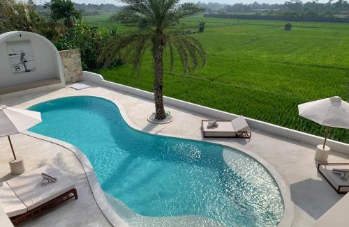 Mengwi Villa | 5 Br Villa View On Ricefield, Pool, Sauna Jacuzzi