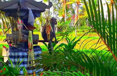 Pejeng Kawan Villa | Amaya Ricefield & Jungle Cottages by Best Living
