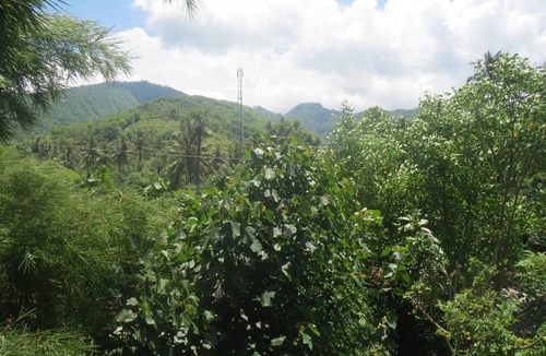 Purwakerti House | Amed Sari Beach Guesthouse
