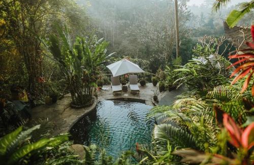 Abiansemal Villa | Ananda House 3bds Eco Bamboo House Pool River View