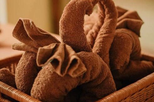 Pemogan Hotel | Bali Orchid Spa