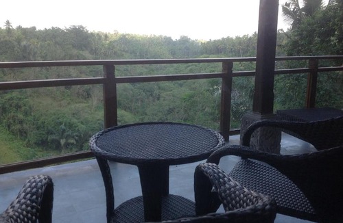 Kedewatan Villa | Bali Ubud Villa View