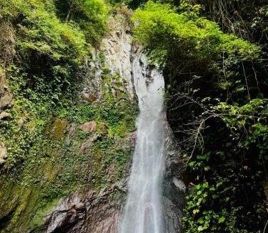 Tianyar Hotel | Barefoot Glamping - Escape in Nature